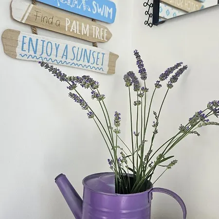 Katica Bribir (Primorje-Gorski Kotar)