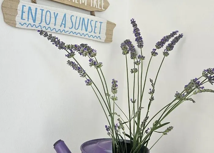 Katica Bribir (Primorje-Gorski Kotar)